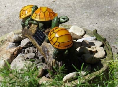 Turtles on Log Solar Light with Lizard Friend Enjoying the Sunny Spot