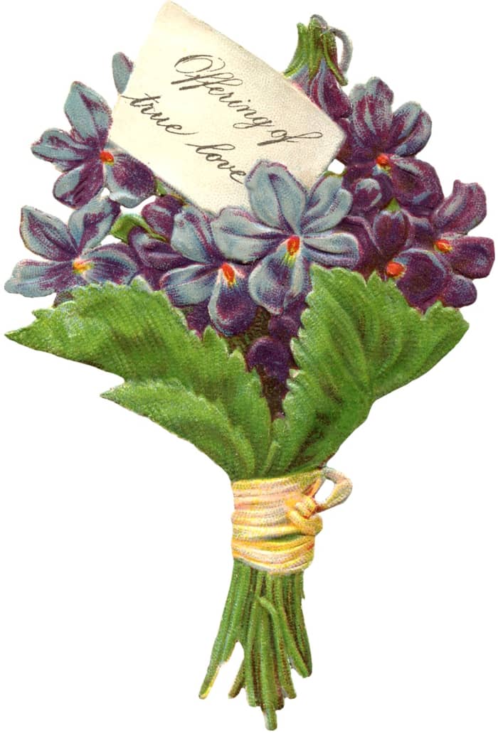 During Victorian times young gentlemen would give their lady-love a small bouquet of sweet scented violets.