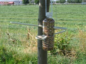 Feed the Birds from Recycled Containers - HubPages