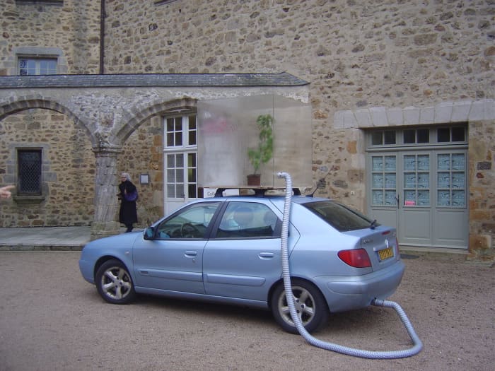 Gustav Metzger Car exhaust fumes killing a pot plant graphically illustrate the destruction of the planet by mankind. You can see the famous twisted columns of the gallery in the background.