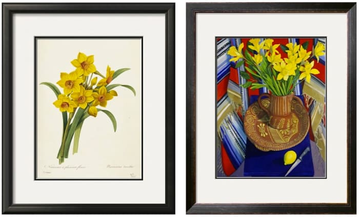 Left: Narcissus, Botanical illustration by Pierre-Joseph Redouté. Right: Jonquilles et Citrons (Daffodils and Lemons) by Isy Ochoa. Both available in a variety of sizes and formats at