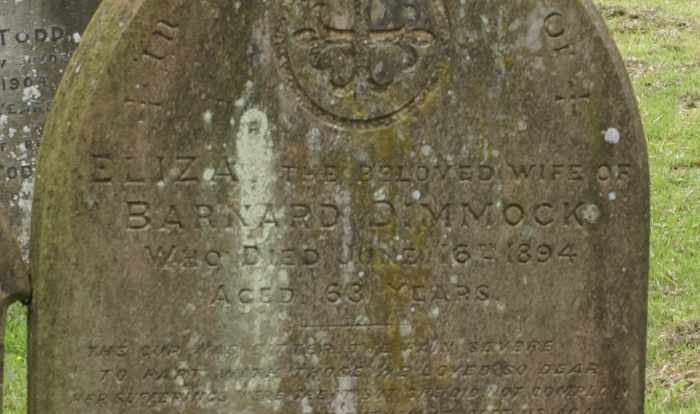 Eliza Dimmock, born about 1831, died 16 Jun 1894