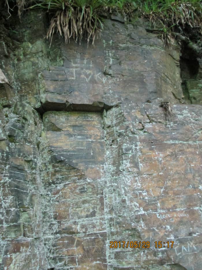 Marks of mankind. Someone's managed to scrape graffiti on the Tees gorge limestone wall well above a fully-grown man's reach