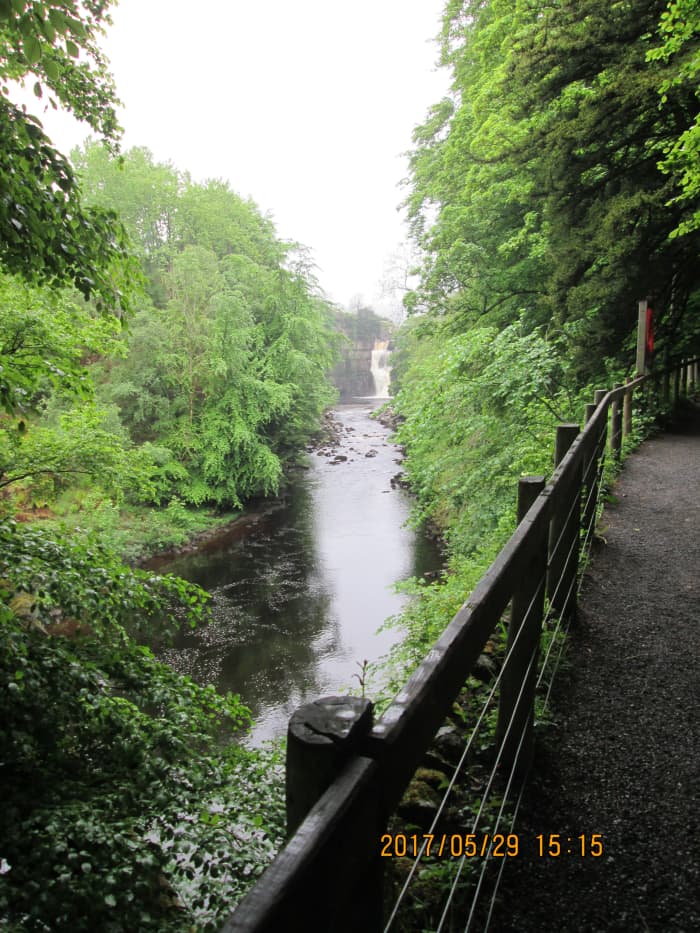 Looking ahead again, High Force is glimpsed around the bend. A short walk further takes you to this almost uninterrupted view from the end of the walk...