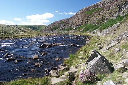 The Tees bends around the base of Falcon Clints, the cliffs that edge the river's high reaches as it rounds the deep gorge from...