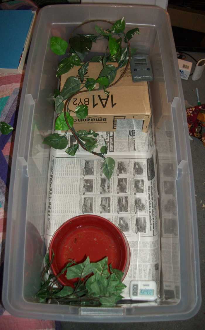 D.I.Y How to Set Up A Tub For Your Ball Python HubPages