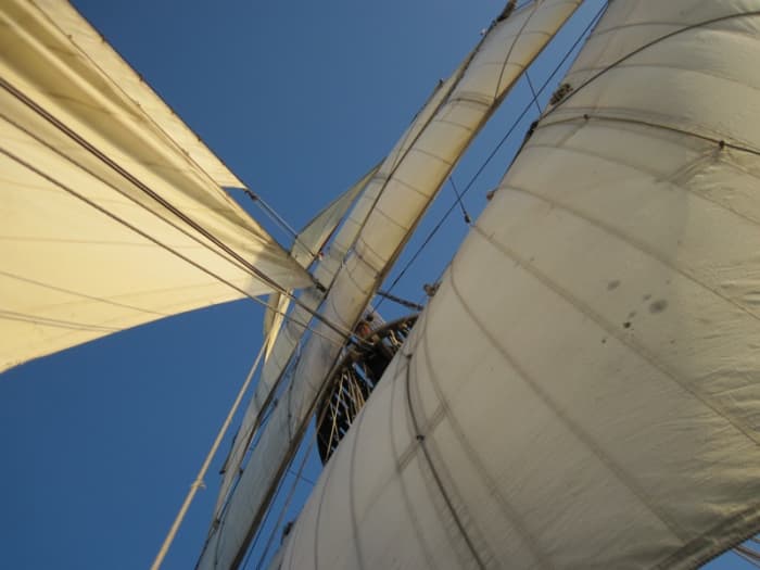 The Hawaiian Chieftain is gorgeous, too. Here I stood on the forecastle and looked up through her sails.