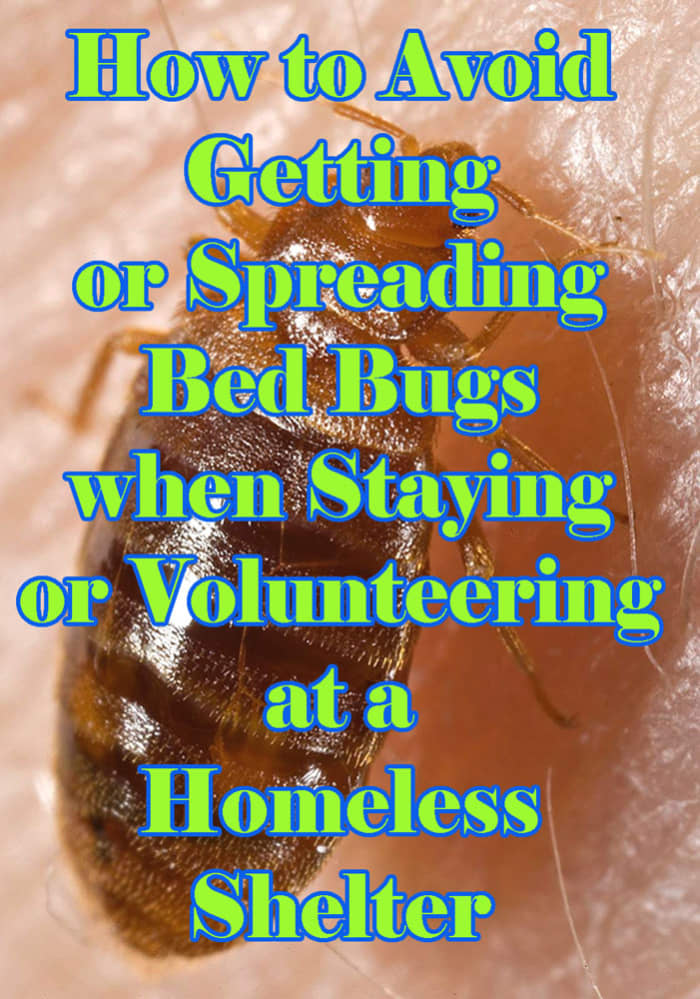 Learn how to reduce your risk of spreading or getting bed bugs from homeless shelters.