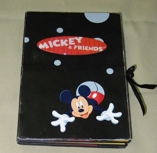 How to DIY Own Disney Autograph Books If You're Frugal or If You Want ...