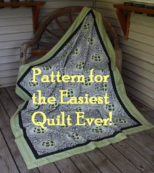 This beautiful Amy Butler fabric makes a great whole cloth quilt. The quilter did add borders to add interest.