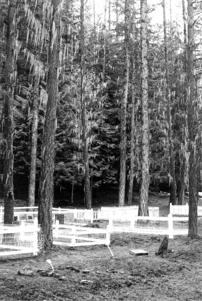 Historic Ainsworth, B.C. Is the Oldest Village on Kootenay Lake Owlcation