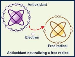 The oxidation process in itself is not bad, as it has to take place for our cells to get the nourishment they need to support life.