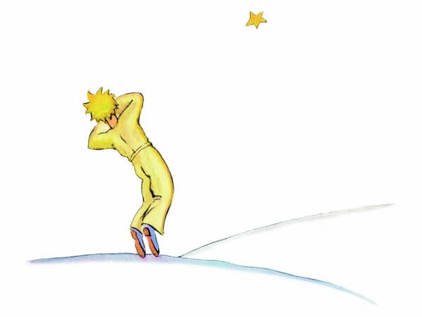 The Little Prince's Hidden Meanings - HubPages