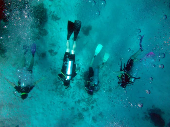 The photographer was ready to shoot as the scuba divers made their descent.