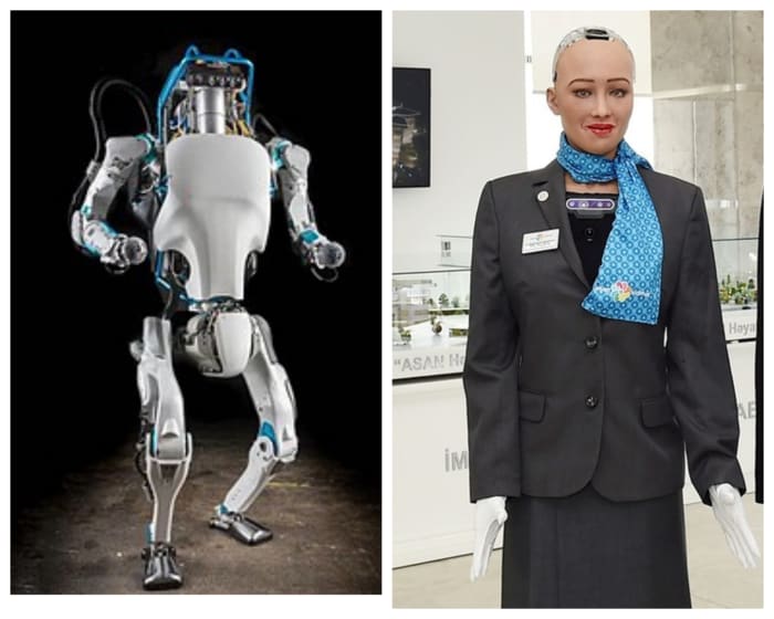 Atlas, an intelligent bipedal humanoid robot made by Boston Dynamics and Sophia a social humanoid robot developed by Hong Kong based company Hanson Robotics