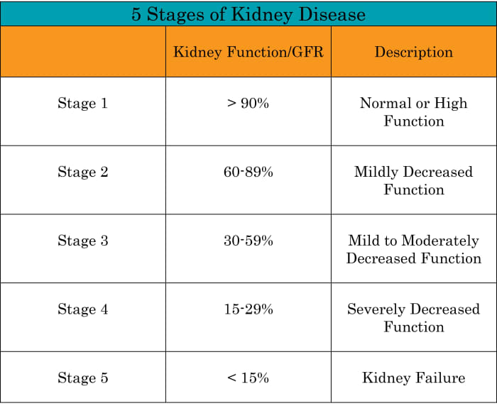 What Is The Best Evidence Based Strategy For CKD Chronic Kidney   What Is The Best Evidence Based Strategy For Ckd Chronic Kidney Disease Management 