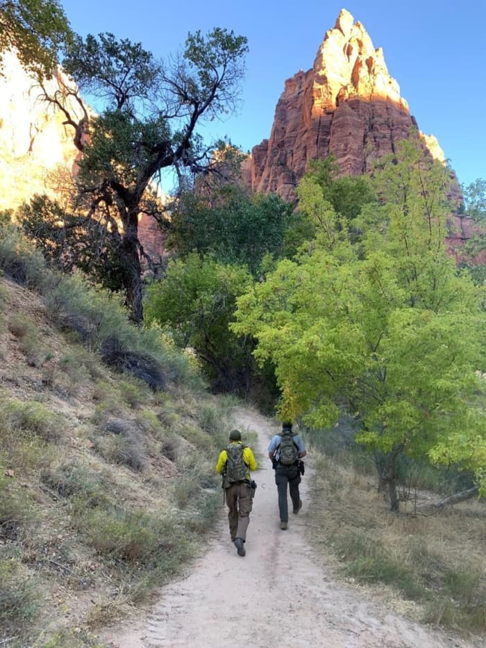 Searchers out in Zion National Park searching for Holly Courtier who vanished on October 6, 2020. Photo courtesy of Forest Service.