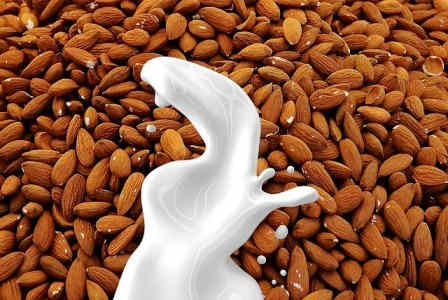 The creamy inner meat of the almond make a perfect rich milk or cream, depending on how much water you add.