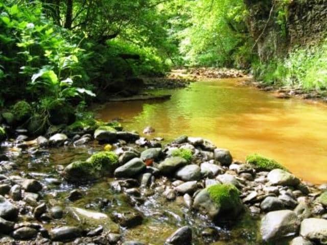 Saltburn Gill, taken by Daniel van den Toorn. Looking for all the world like somewhere in the Burma jungle in WWII, you can see iron deposits in the bed of this watercourse that empties into the North Sea close by the Ship Inn at Old Saltburn