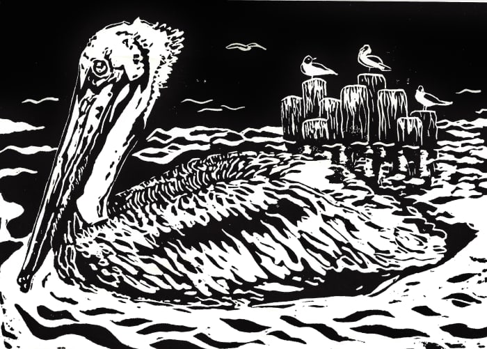 My original linocut of a pelican with seagulls in background. Titled "Seaside Serenity" (copyrighted - do not use without permission)