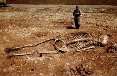 what-the-bible-says-about-the-nephilim-alien