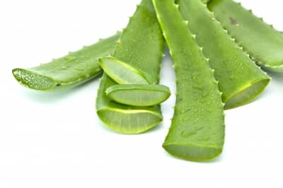 cut aloe leaf showing gel inside