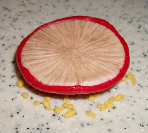 Dampen the mushroom cap with cocoa water and press it into the little yellow balls of fondant.