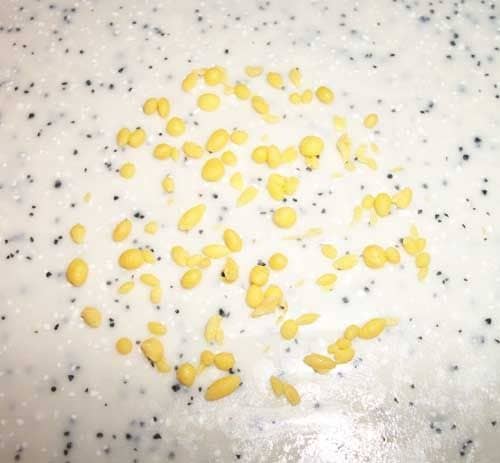 Pull off tiny, tiny bits of yellow fondant, anywhere from a millimeter to three millimeters across and roll them roughly into balls.
