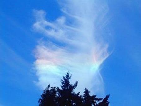 This is another chembow, this time displaying the Fraunhofer signature for the element barium.