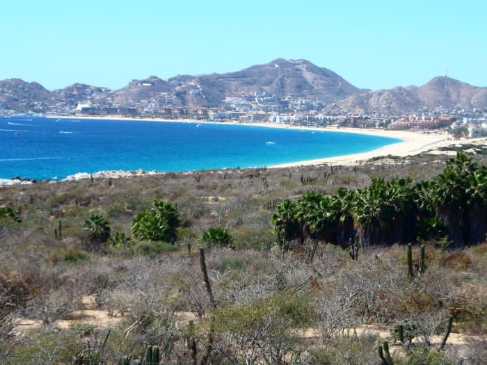 What I've Learned Being An Expat In Cabo San Lucas, Mexico...So Far ...