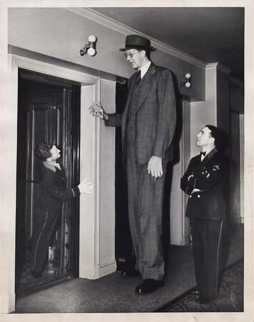 5 Real Giants, Biggest and Tallest Superhumans Ever & How Tall was ...