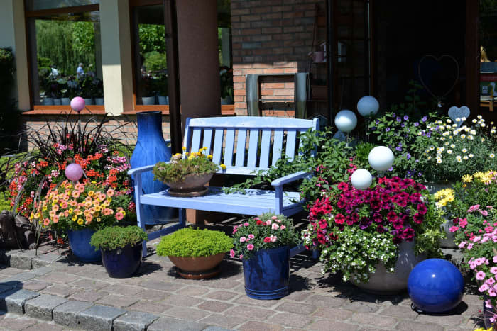 For patio container gardening apply seaweed fertilizer weekly through the growing season.