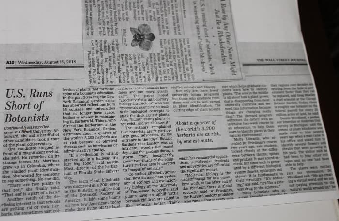 A Rose by Any Other Name Might Just Be a Rhododendron from the August 15, 2018 edition of the Wall Street Journal