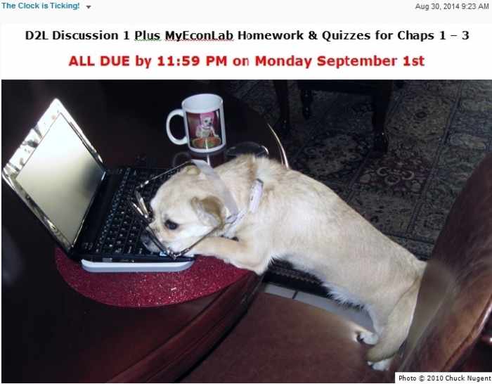 To help keep students motivated and engaged I posted a new picture each week of my dog on the course Homepage under the reminder about the week's assignments. Attendance & completion increased noticably.
