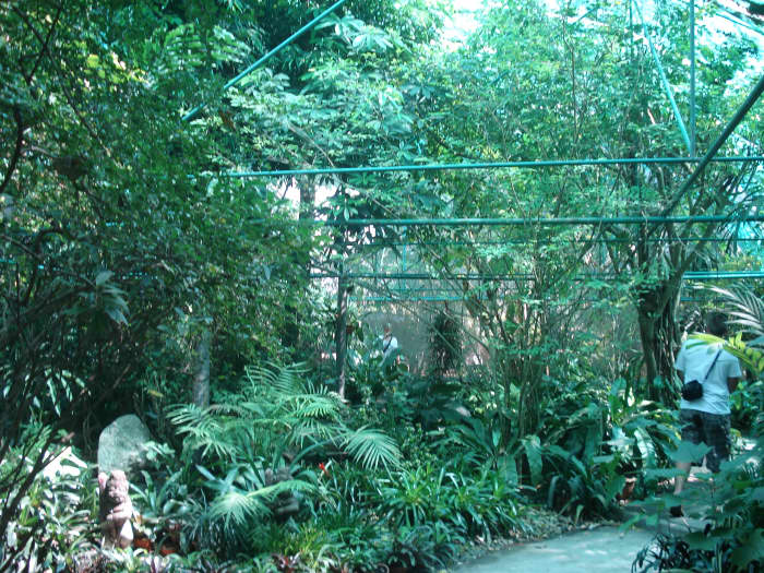 Probably the nicest enclosure in the zoo. Sadly fish were the most numerous occupants. Perhaps a dozen birds in all.