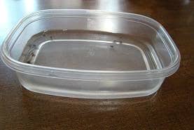 Can you see the tadpoles all along the edge of the container? At this point in their development, they don't move around much.