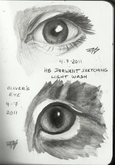 Derwent Graphitints and Derwent Sketching pencils (washable graphite) give a very different, beautiful look when washed.