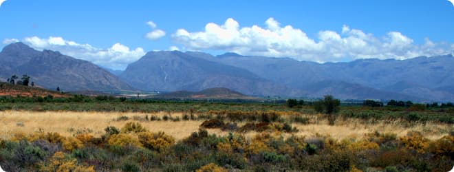 Veldt landscape from the Greater Taung local municipality.