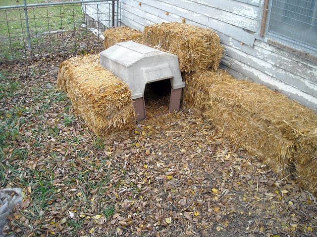 Bales of straw work really well to add extra insulation to your dog's house during the cold, winter months.