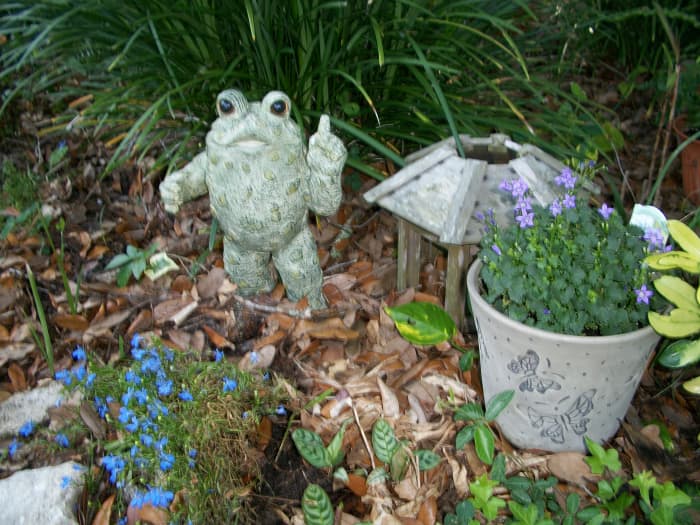 The filibustering toad still holds a place of honor under the two spreading oak trees that shelter this end of the garden. Normally, he would be in the garage by now, and I'd be on the road heading north.