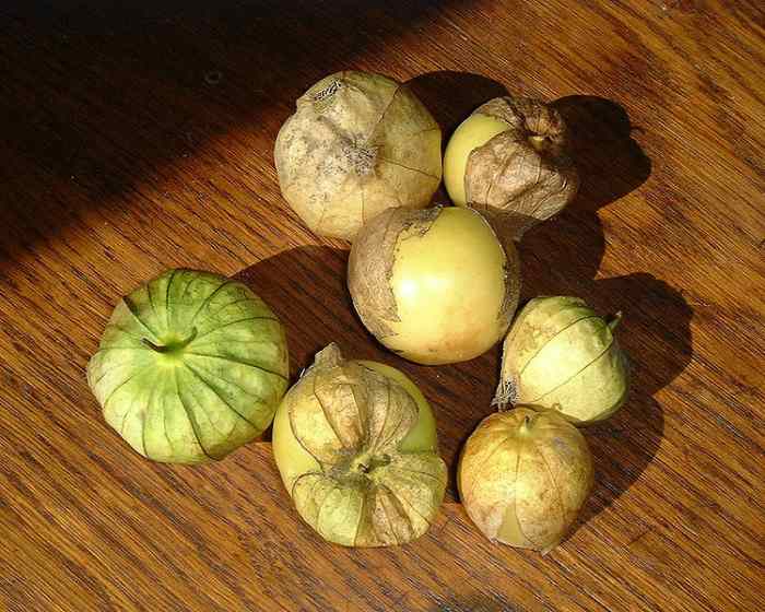 How To Use Tomatillos And Cook With Tomatillos HubPages