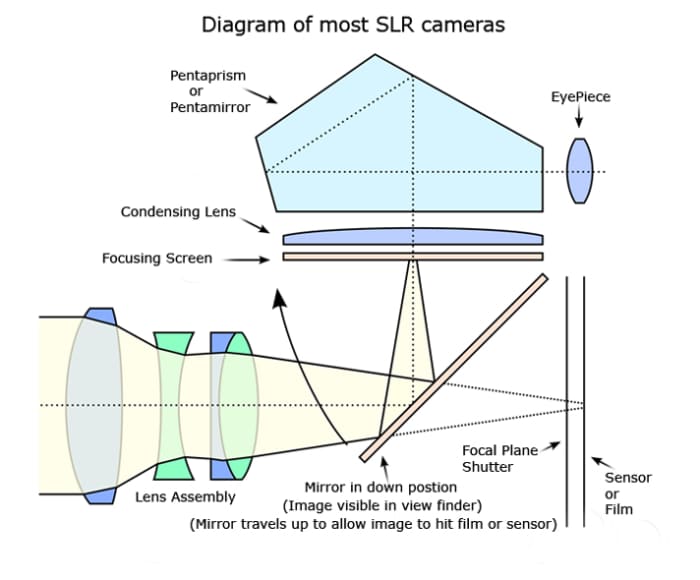 Cameras - DSLR - Digital Single Lens Reflex or Simple Point and Shoot ...