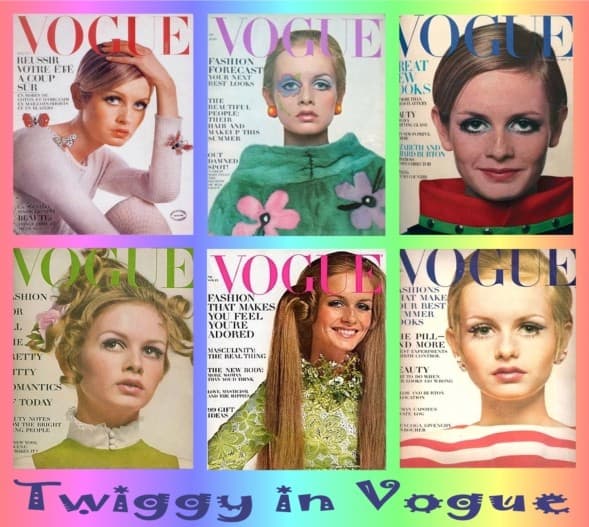 Twiggy: Supermodel of the 1960s - HubPages