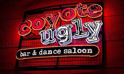 It's as wild as you'd think. Bras fly allover the place after the ladies have had ... enough to drink! Yoohooo!