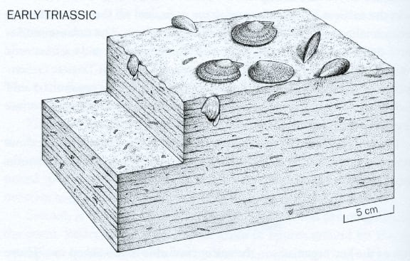 Artist's rendering of ocean life in the early Triassic, shortly after the Permian-Triassic extinction event.