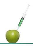 genetically modified foods = mass experimentation on unsuspecting citizens? Not an unheard of concept for the U.S. government.