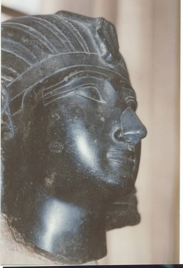 Thutmosis III. Ofiicials of an Italizn Museum decided to give Tutmosis III a new nose in a crude and outrageous attempt to change his racial appearance