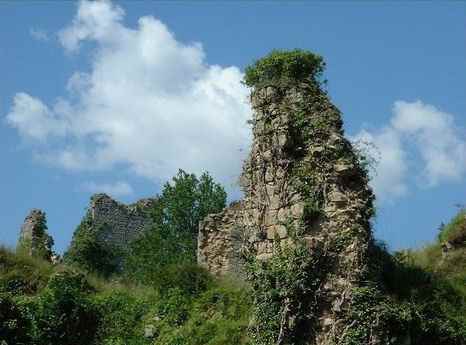 The two ruined towers of a chateau, Creuse. This wild countryside was the haunt of wolves as recently as 1926. Photo by Gilles Joyeux