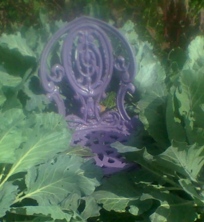 Mortals who see through the mist inhabit a place that is removed from the frenetic pace of the world.