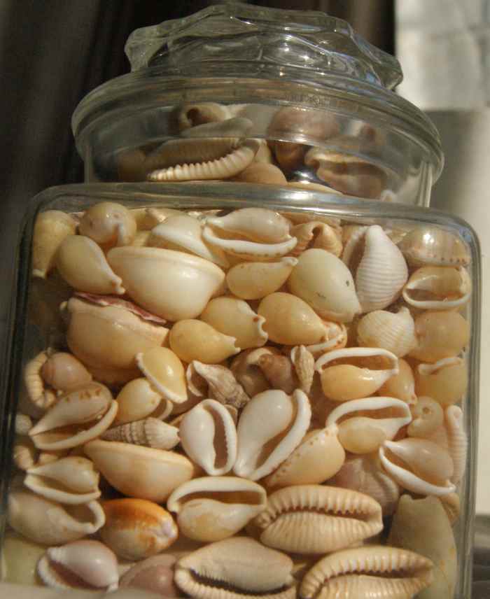 The Cowrie Shell in World and African History HubPages